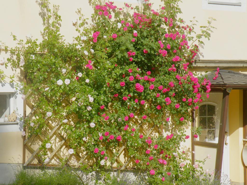 세브니츠 Am Lindenbaum B&B 외부 사진